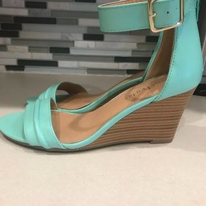 Teal wedges
